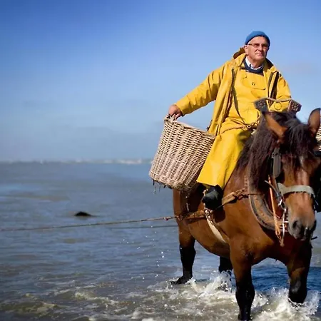Zeezonzand * Koksijde